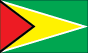 Guyana Flag