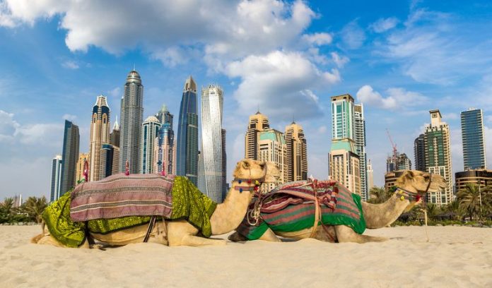 Dubai Culture And Specifics Of The City