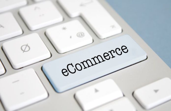 How To Earn High Profit From My Ecommerce Business?