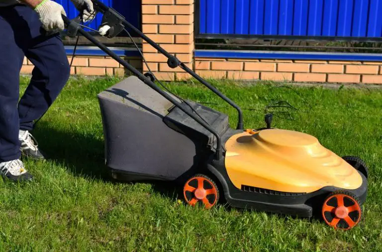 Trim In Style: How To Buy A Lawn Mower