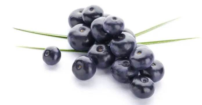 The Benefits Of Acai Berries. A Secret Formula For Effective Weight Loss
