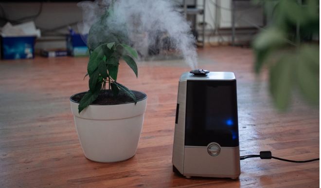 How To Buy The Best Air Purifier