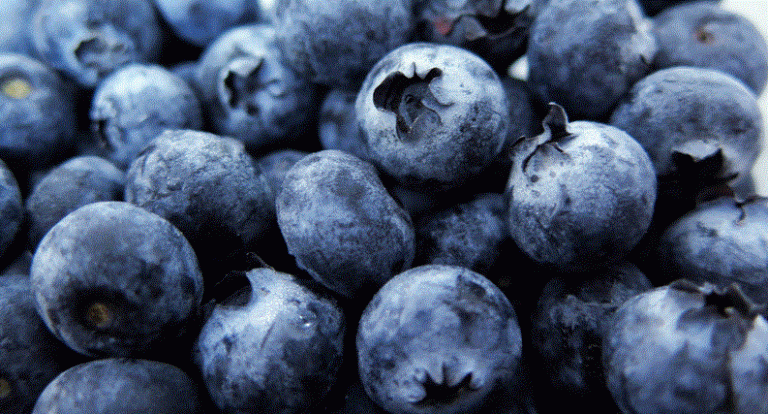 Where To Find The Top Best Anti-Aging Foods
