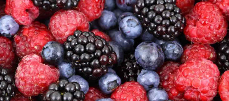 Superfood For Your Brains: Strawberry, Blueberry And Omega-3 Fatty Acid
