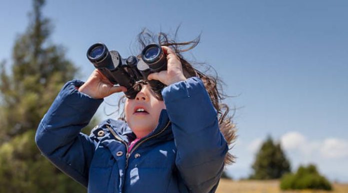 How To Get Started Bird Watching