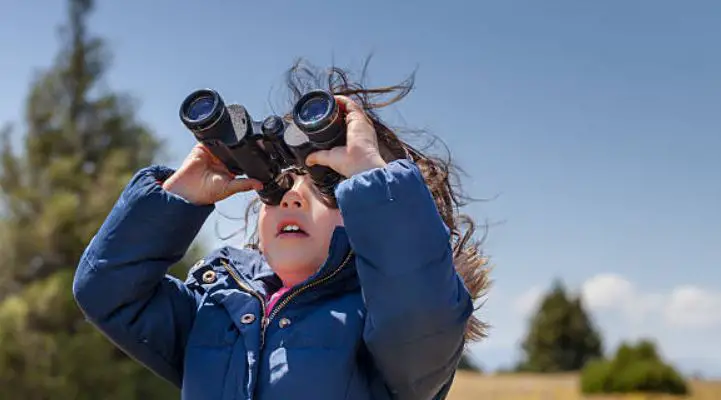 Connect Kids To Nature Through Bird Watching