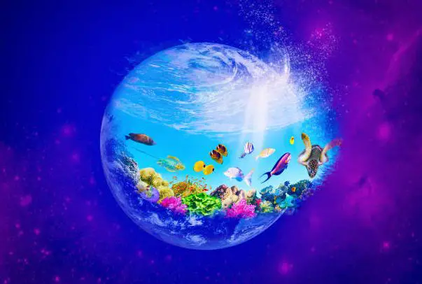 How To Build A Blue Planet Aquarium