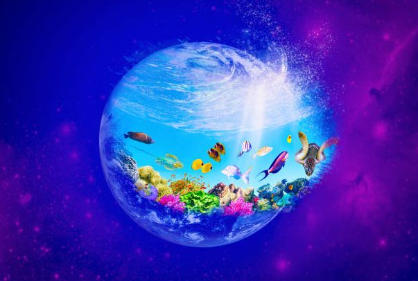 How To Build A Blue Planet Aquarium