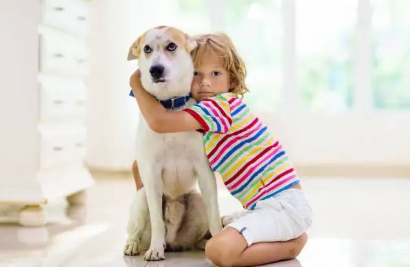 Teach Your Child To Be Safe With A Puppy