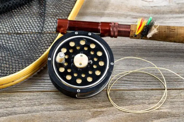 Choosing A Fly Line For Your Fishing Rod