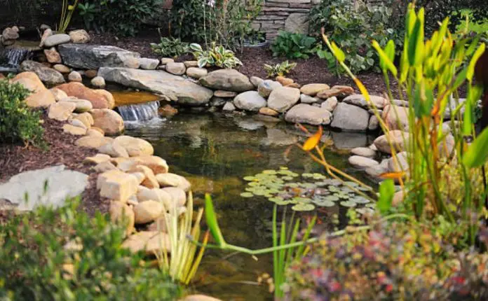 How To Clean Your Garden Pond And Keep The Natural Balance Of Your Garden Intact