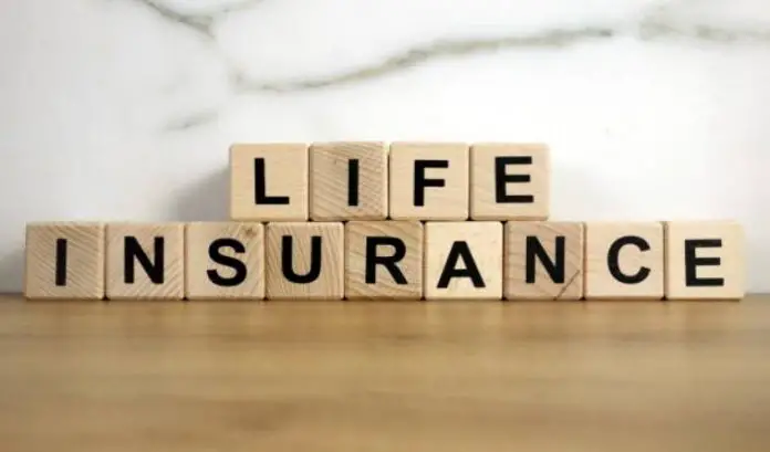 Learn About The Different Types Of Life Insurance