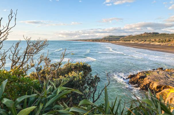 Muriwai Beach One Of The Best Beaches Near Auckland