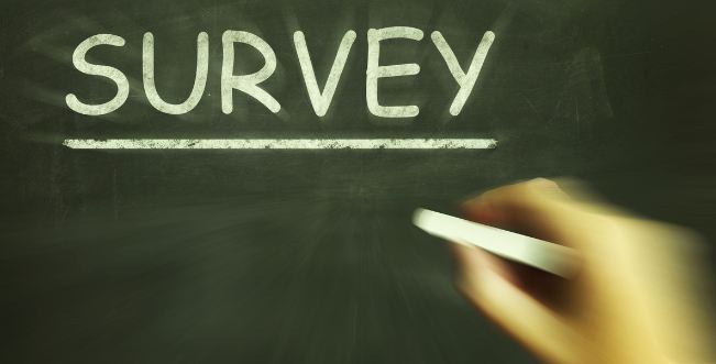 Online Surveys – Your New Full-Time Job