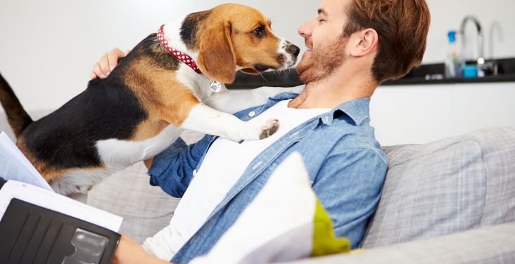 How To Choose The Best Pet Insurance