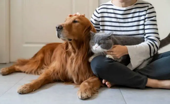 How Pets Can Help You Keep Your Heart Younger And Healthier