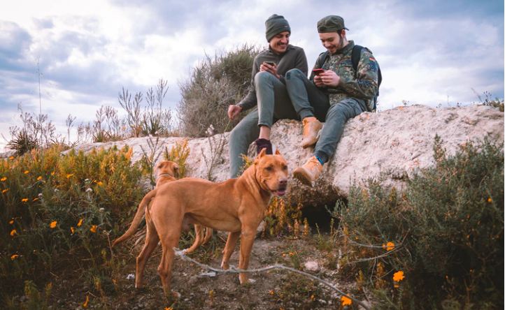 How To Properly Train Your Hunting Dog