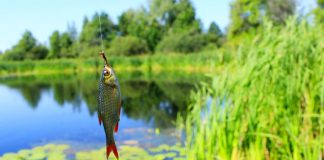 Popular UK Fishing Destinations