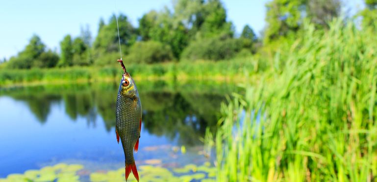 Popular UK Fishing Destinations