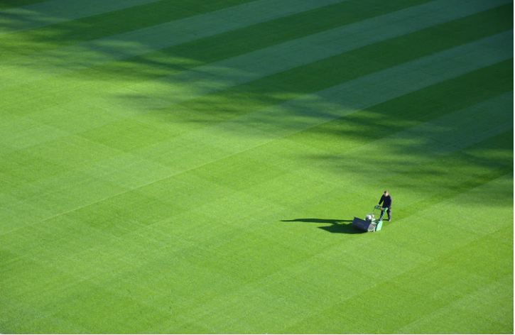What You Need To Know About Aerating Your Lawn