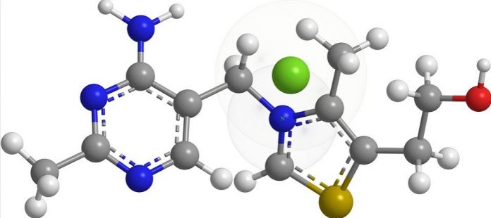 The Role Of Thiamine In Our Life