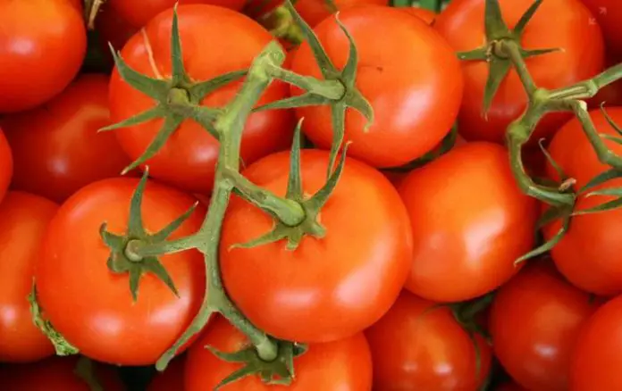 Eat Tomatoes! Raw And Cooked! That's Superfood