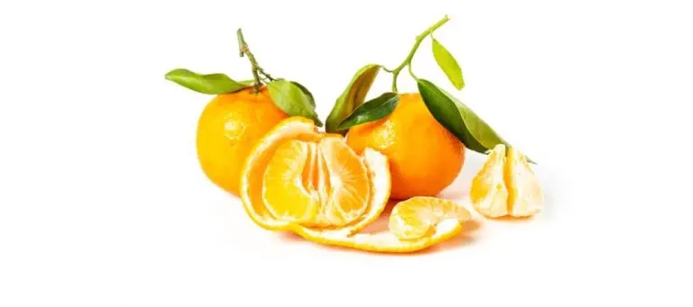 The Importance Of Vitamin C In Your Life