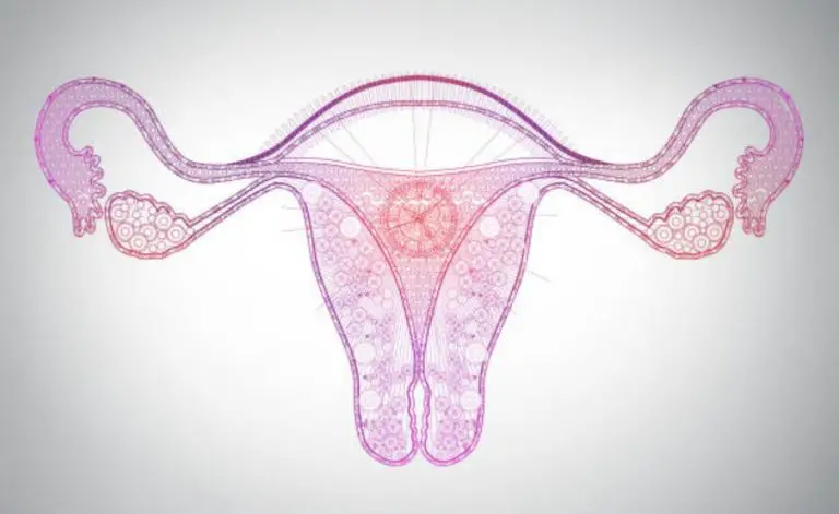 New Techniques For Assisted Reproductive Technology