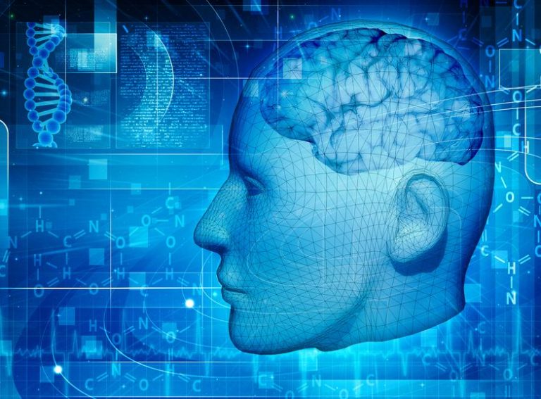 What Is A Delta Brainwave?