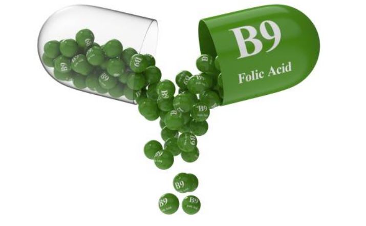 Dietary Supplements; Folic Acid