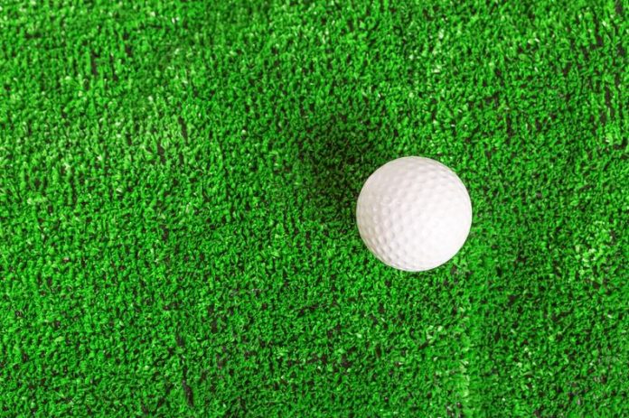 Crazy Golf Facts!