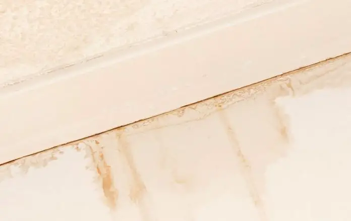 Home Mold Problems Associated With Water Damage