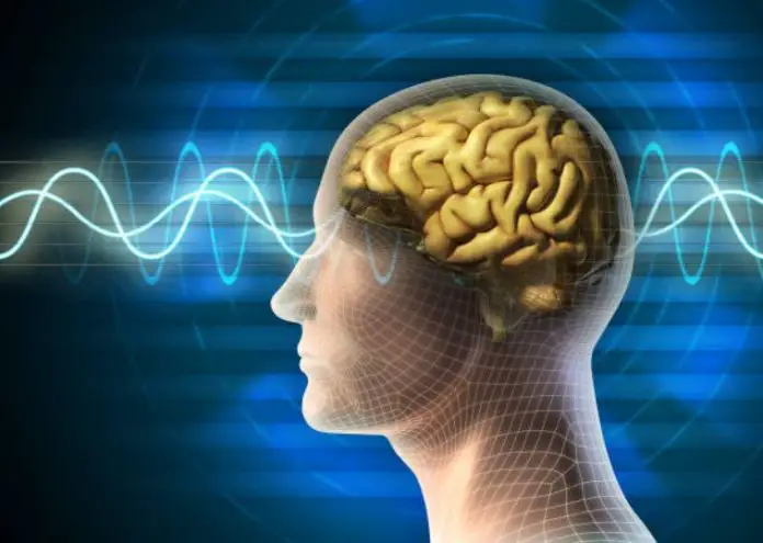 How Light Affects Brainwaves