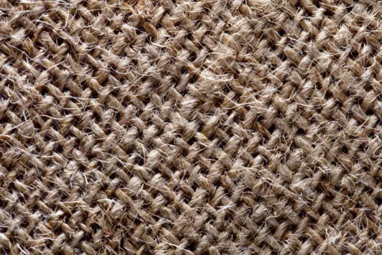 Jute Carpets: Plant Fiber Carpet For Your Home