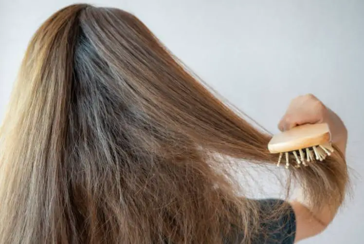 Problem Of Dry Hair: Tips To Overcome - Ezilon Articles