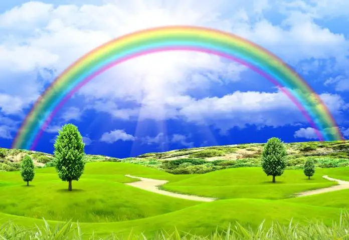 The Rainbow Of Health