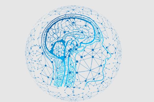 What Are Brainwave States?