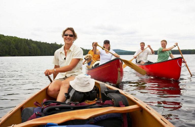 Canoeing In Algonquin Park