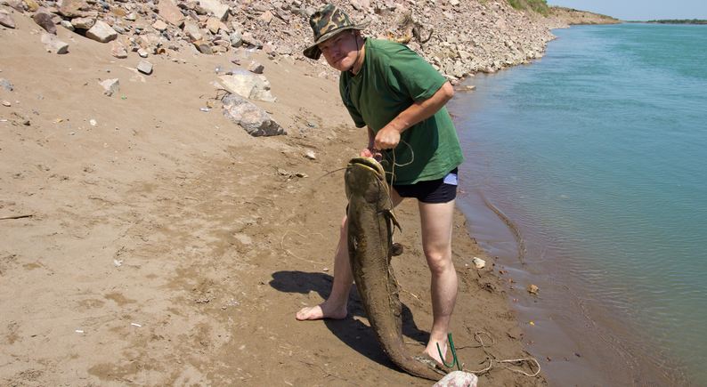 Catfish Fishing Guide - Ezilon Articles