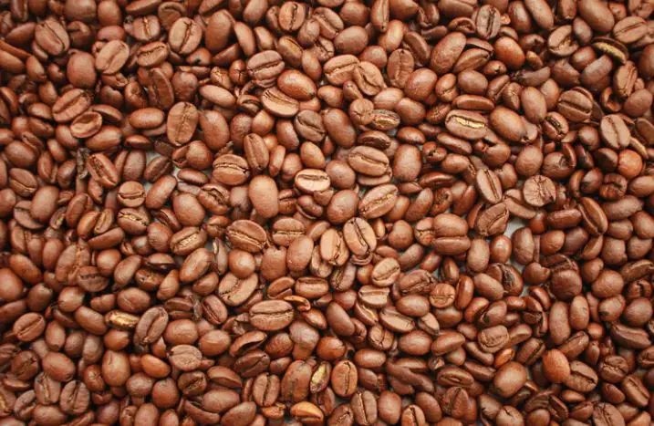 Let Us Talk About Popular Coffee Bean Types