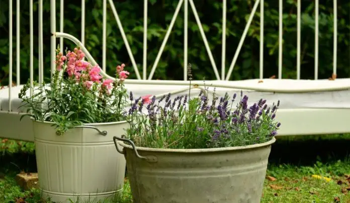 Creative Tips For Container Gardening