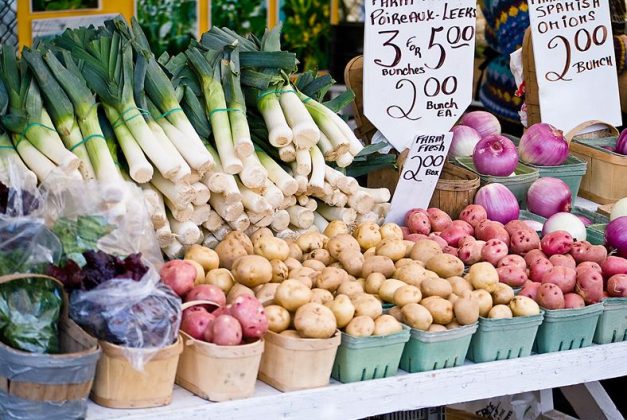 Health Choices Ezilon Articles
