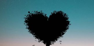 Let Love Flow into Your Life