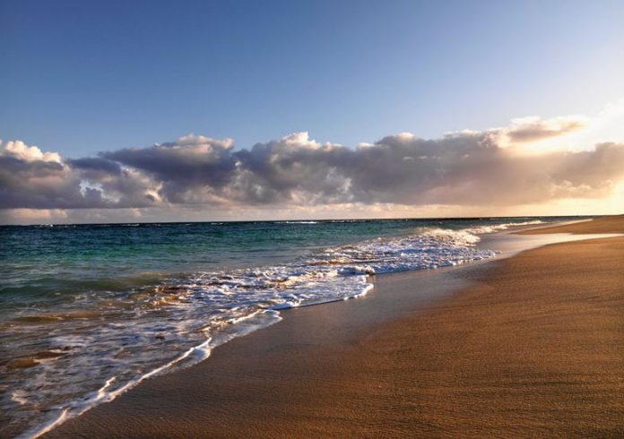 Photo of Waves Lapping on the Beach at Dusk in Maui, Hawaii