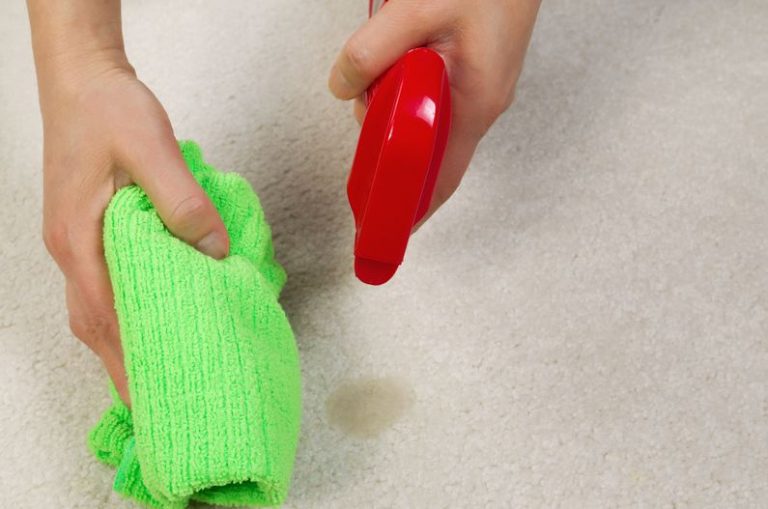 Removing Stains From Your Carpet – A Brief How-To Guide