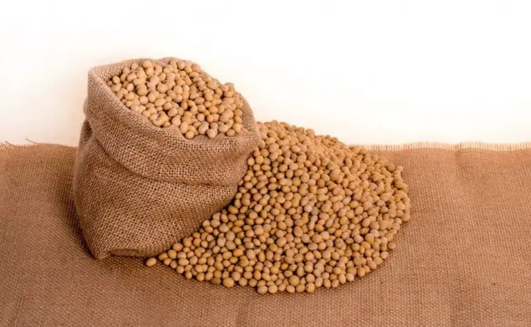 Soybeans! An Important Ingredient Of Superfood