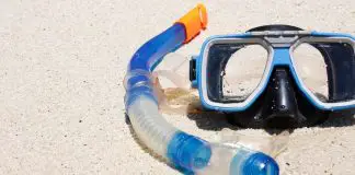 Swimming Equipment- What You Need To Buy