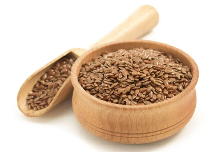 Flaxseed; The Richest Source of Omega 3 Fatty Acid Nutrients and its Benefits