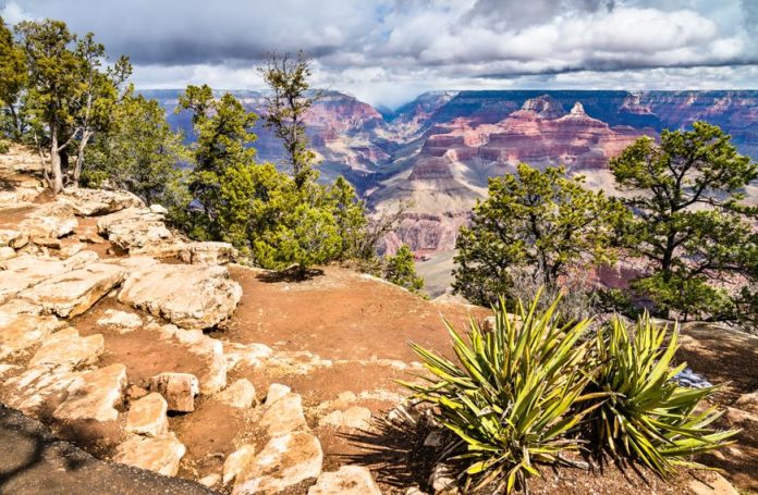 Grand Canyon