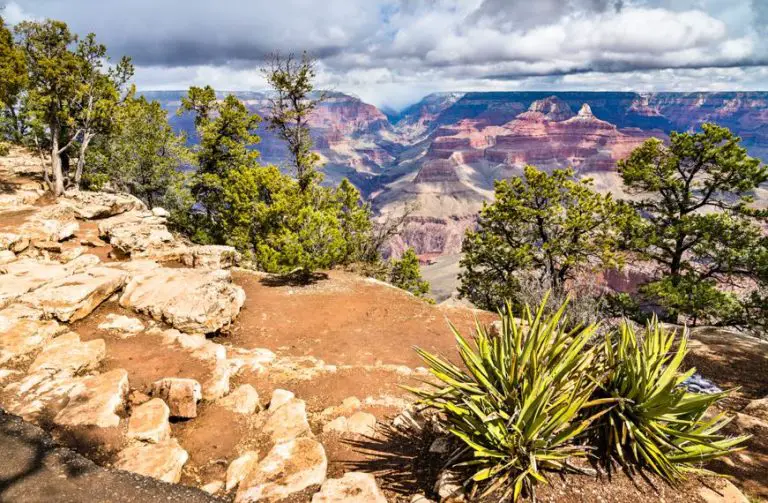 Discovering the Grand Canyon’s Natural Wonders